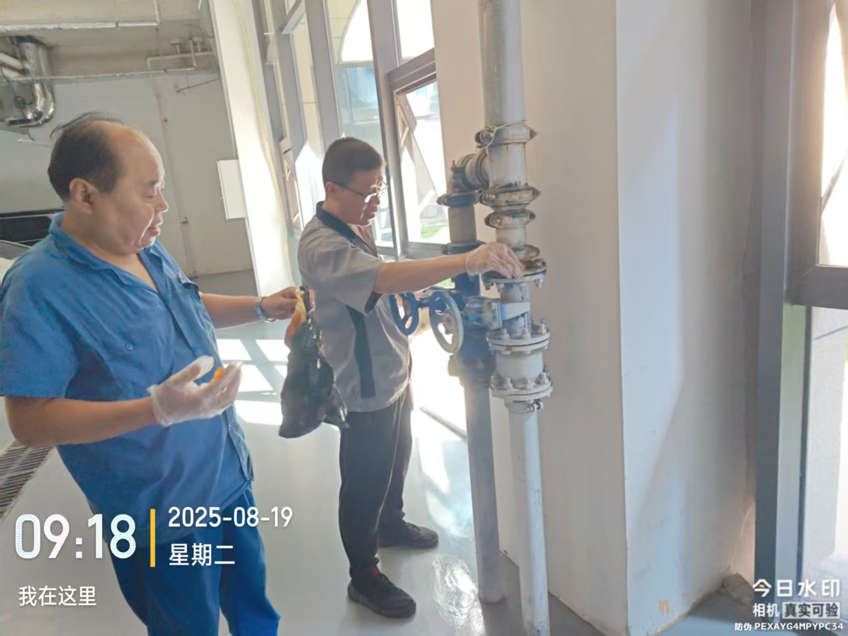 1756712791675037334.png 1756712791675037334.png