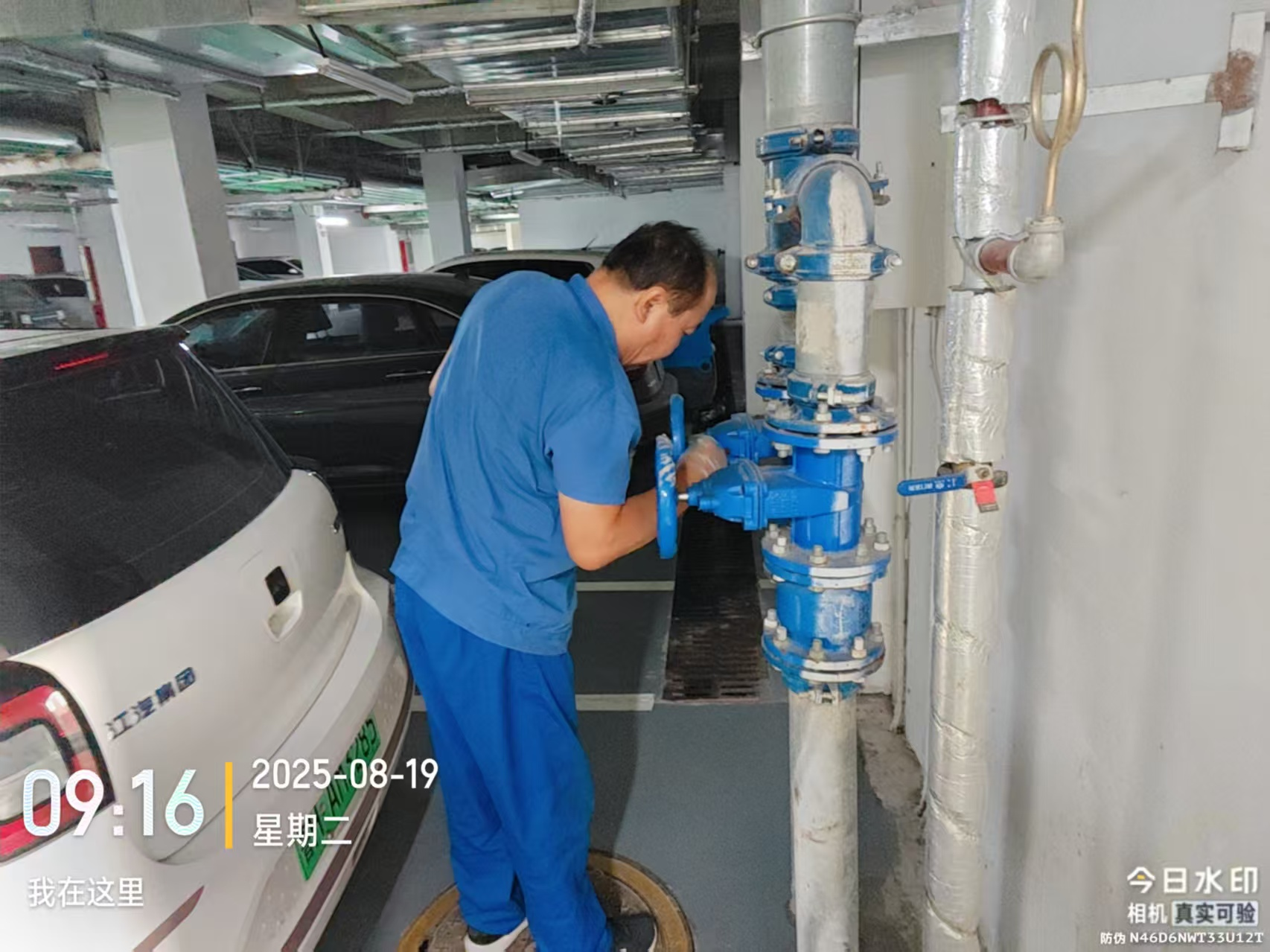 1756712825425091220.png 1756712825425091220.png